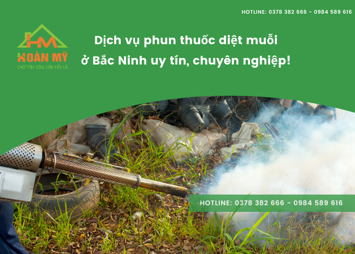 dịch vụ phun thuốc diệt muỗi ở Bắc Ninh