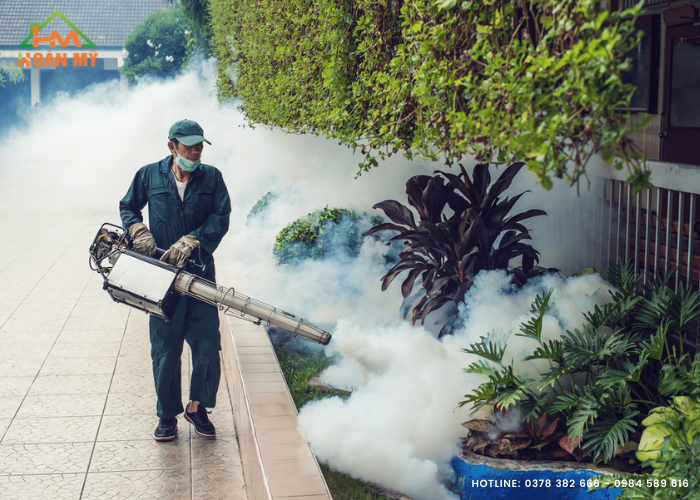 dịch vụ phun thuốc diệt muỗi ở Bắc Ninh